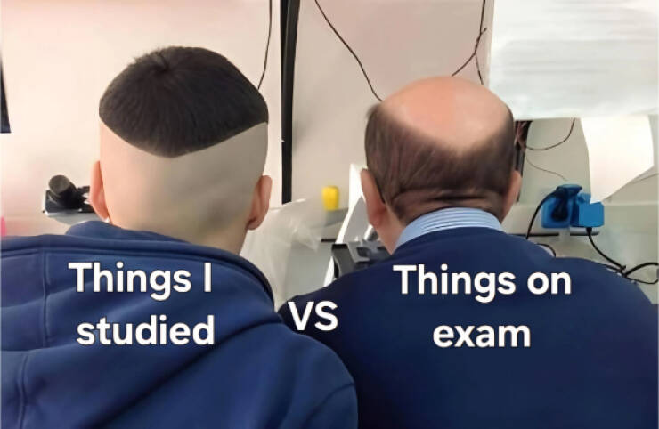 Dank Memes Straight From the Depths of the Web