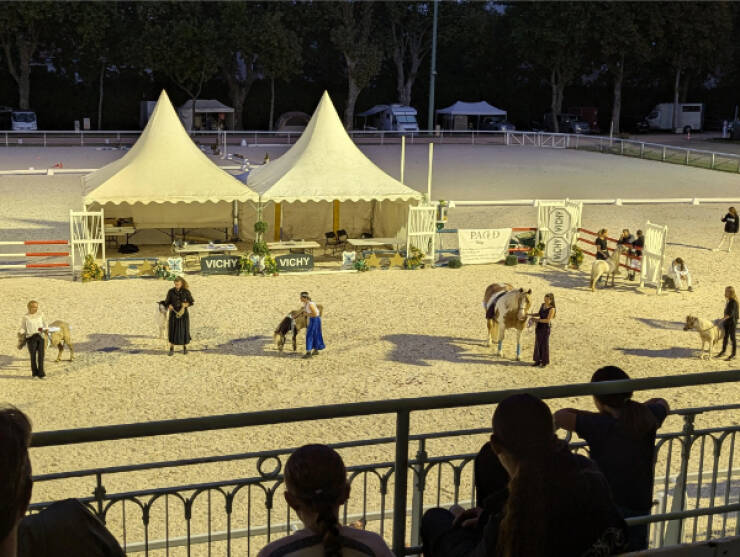 Images Too Fascinating to Scroll Past