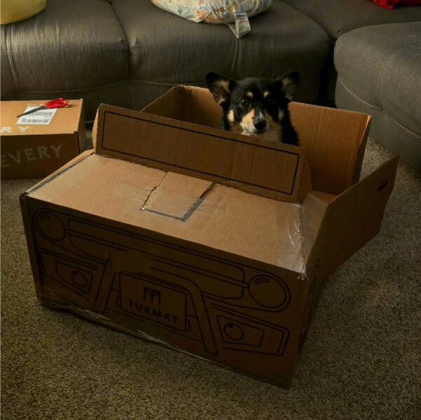 Images Too Fascinating to Scroll Past