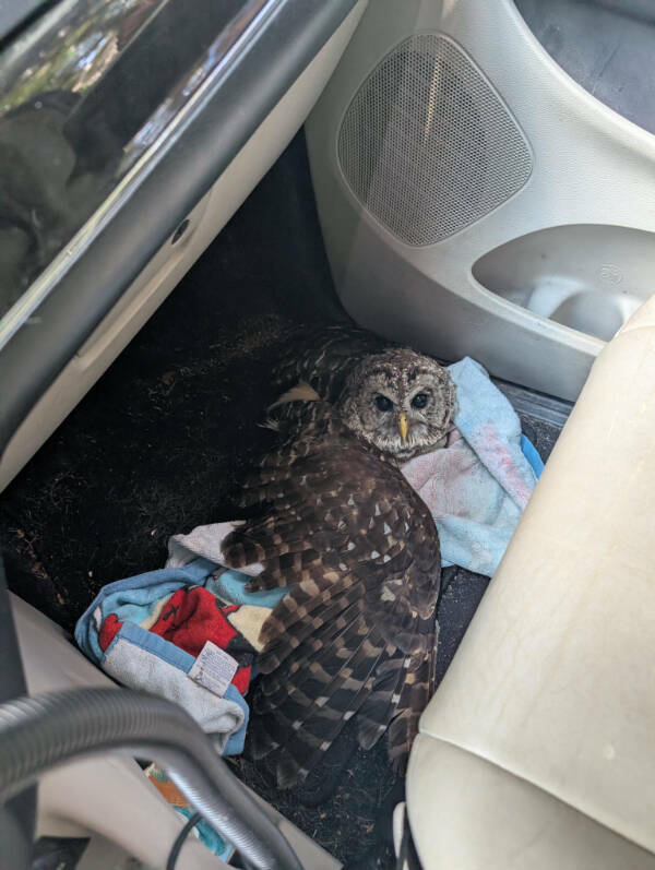 Images Too Fascinating to Scroll Past