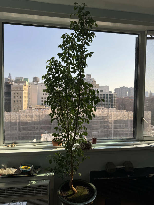 Images Too Fascinating to Scroll Past