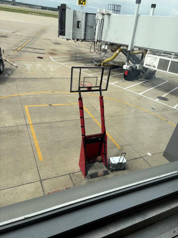 Images Too Fascinating to Scroll Past