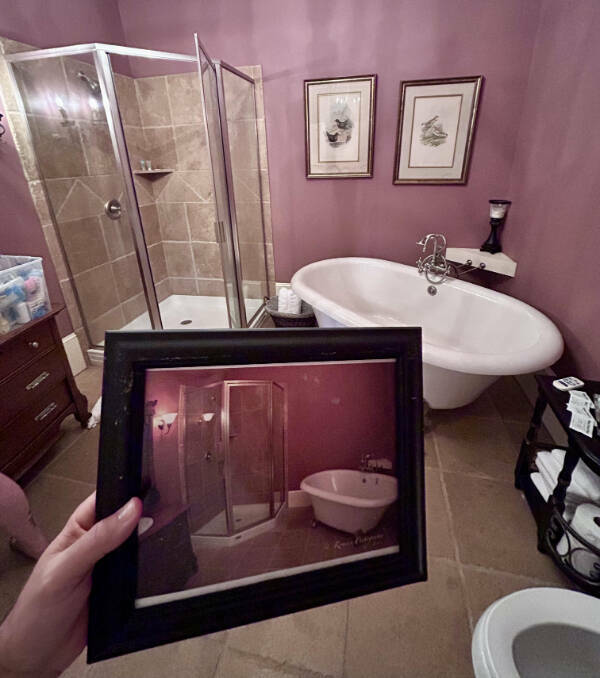 Images Too Fascinating to Scroll Past