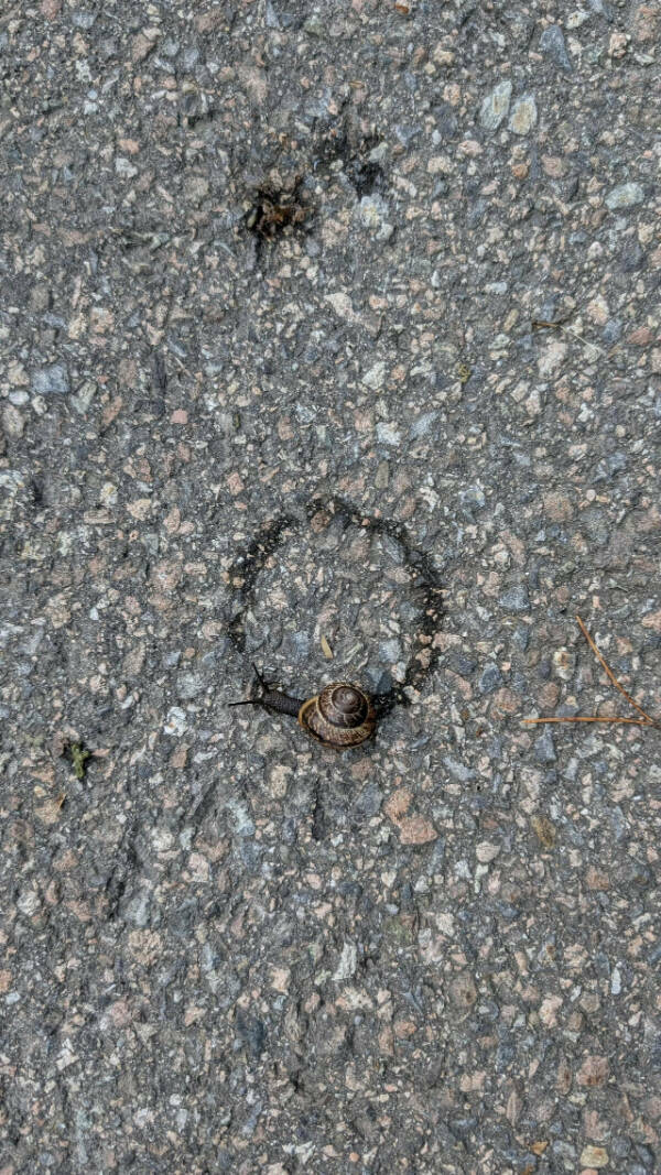 Images Too Fascinating to Scroll Past