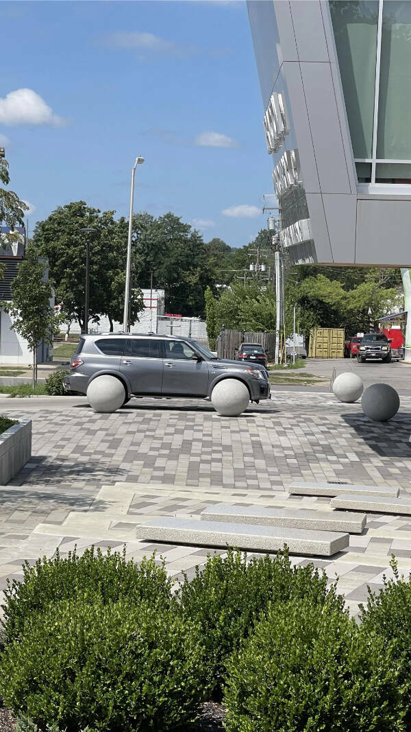 Images Too Fascinating to Scroll Past