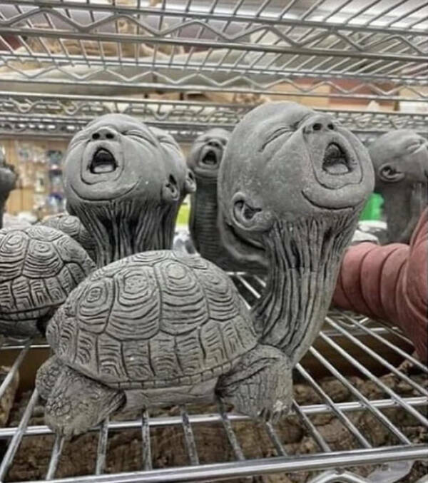 Well, That’s One Big NOPE!