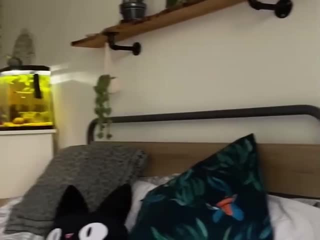 When Your Parrot Learned to Sing