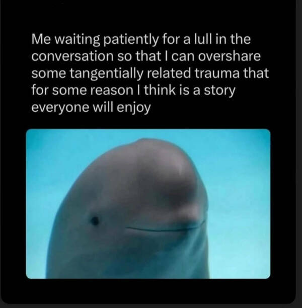 Totally Random, Totally Funny