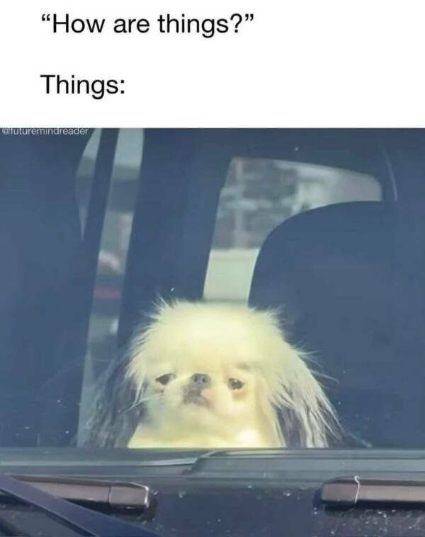 Totally Random, Totally Funny