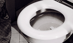 Fact Snacks for Your Brain