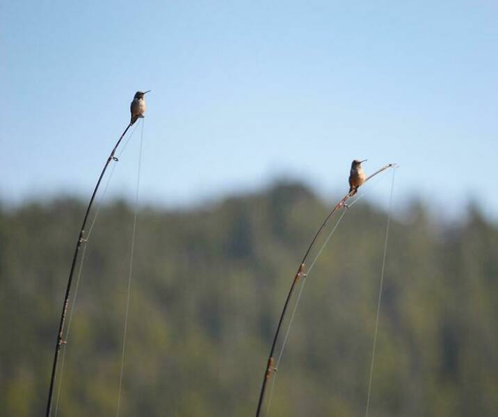 Coincidences So Wild You’ll Question Reality