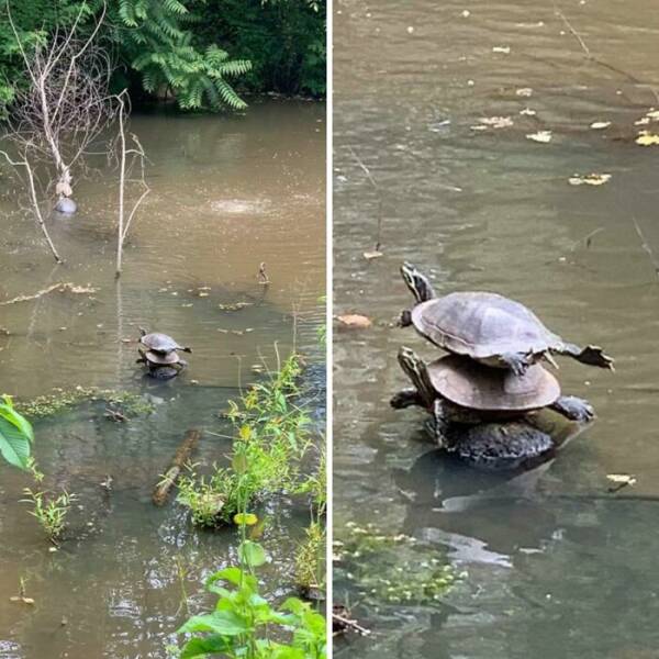 Coincidences So Wild You’ll Question Reality