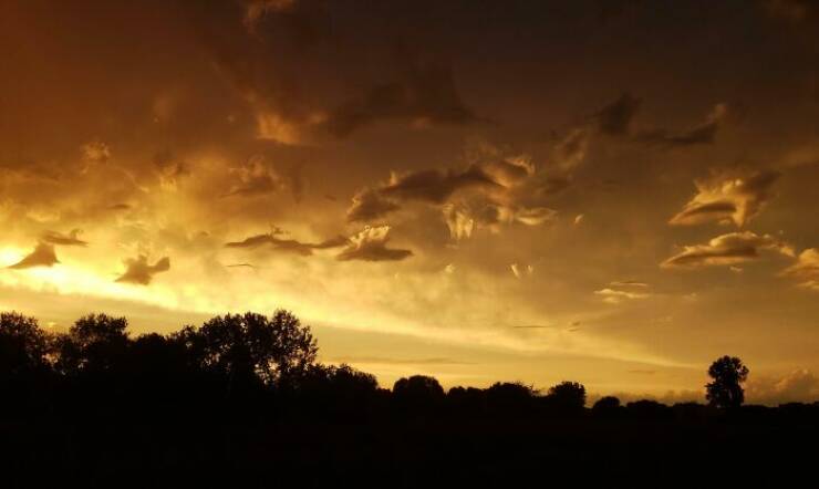 Coincidences So Wild You’ll Question Reality