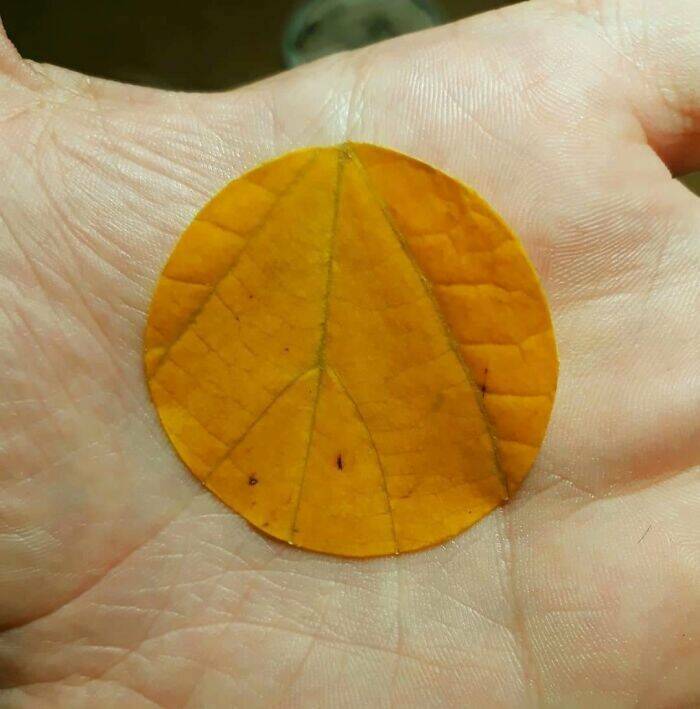 Coincidences So Wild You’ll Question Reality