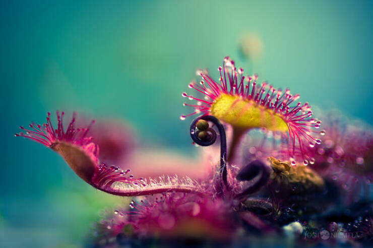 The Magic of Macro