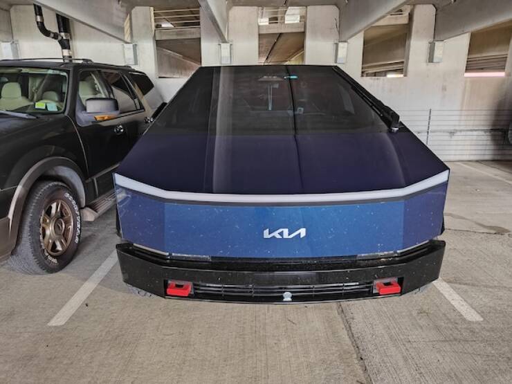 Curiously Captivating Shots