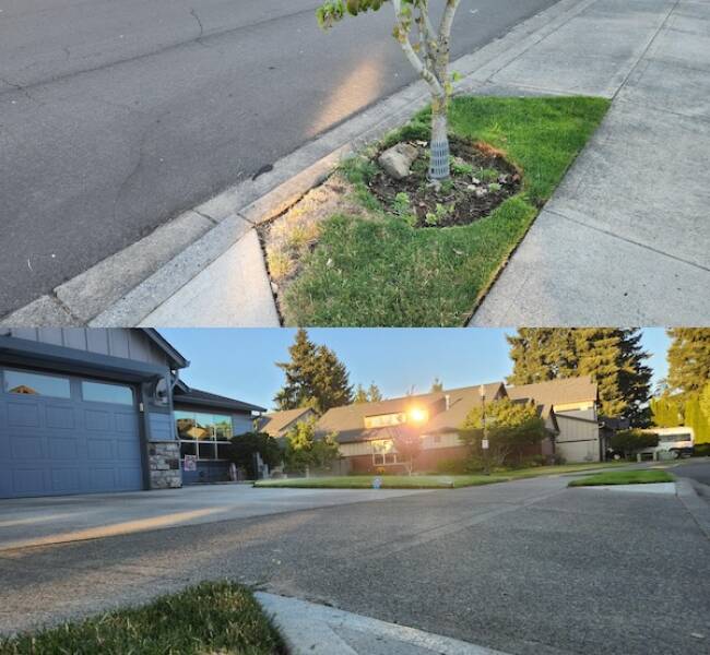 Curiously Captivating Shots