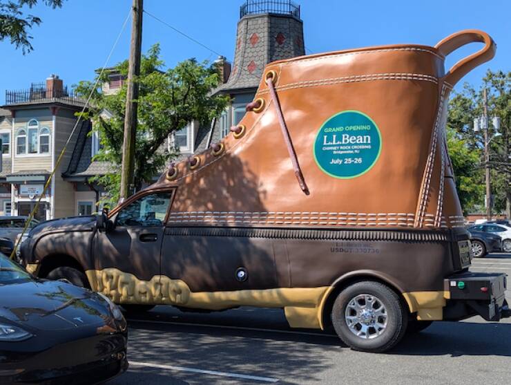 Curiously Captivating Shots