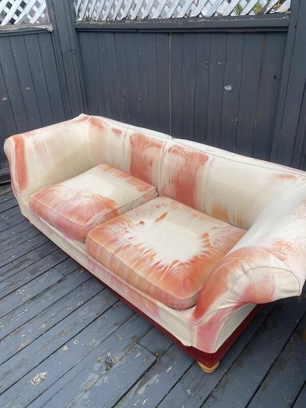 Curiously Captivating Shots