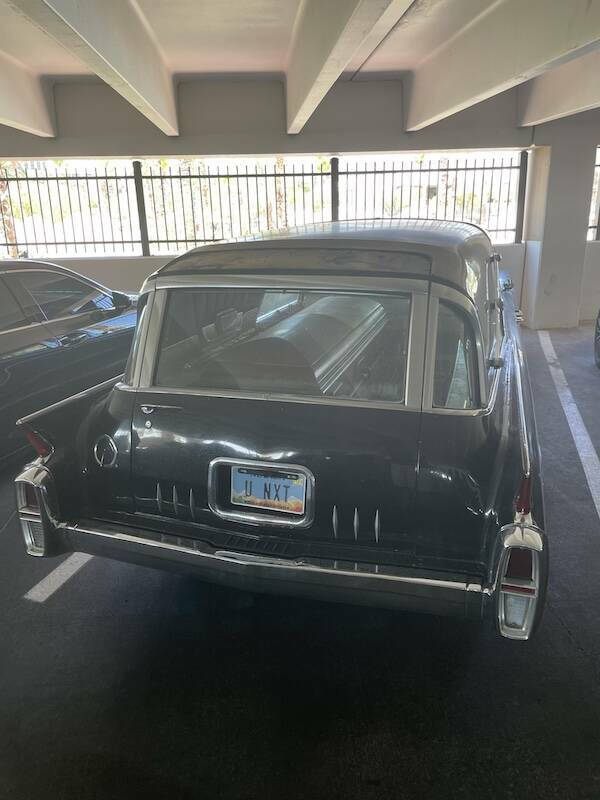 Curiously Captivating Shots