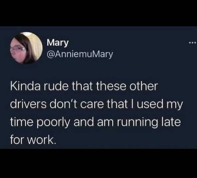 Desk Job Survival Kit: Meme Edition