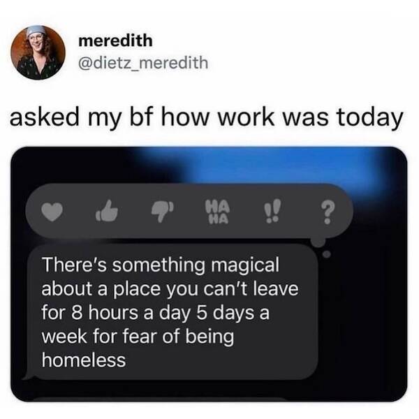 Desk Job Survival Kit: Meme Edition