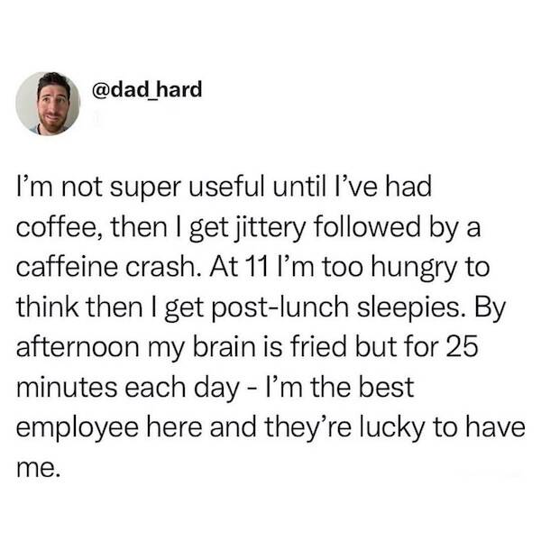 Desk Job Survival Kit: Meme Edition