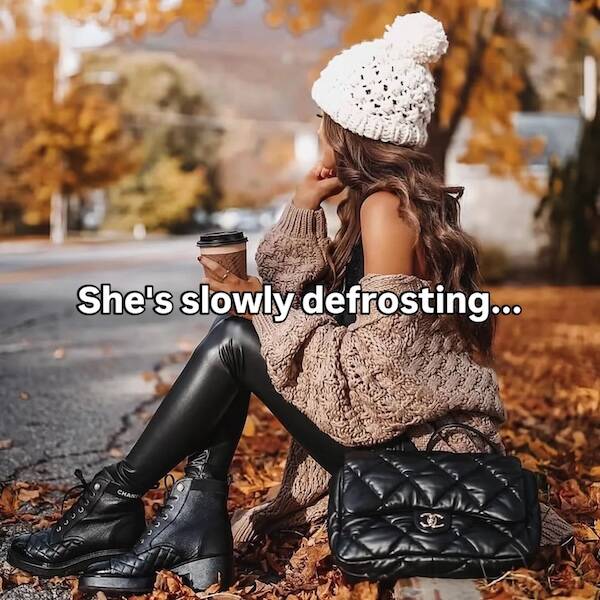 Desk Job Survival Kit: Meme Edition