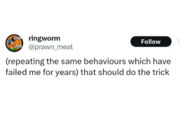 Desk Job Survival Kit: Meme Edition