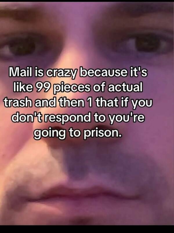 Desk Job Survival Kit: Meme Edition