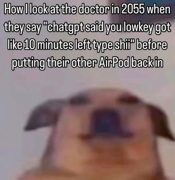 Desk Job Survival Kit: Meme Edition