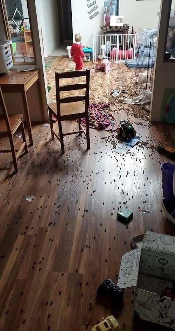 Tiny Humans, Big Chaos Tiny Humans, Big Chaos