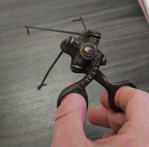 Mystical Finds the Web Couldn’t Ignore