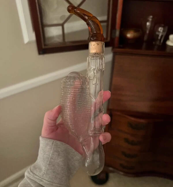 Mystical Finds the Web Couldn’t Ignore