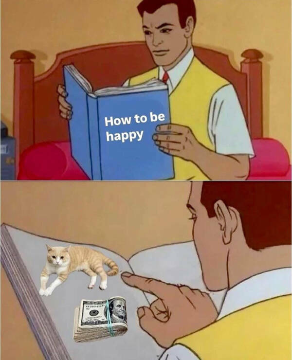 Purrfectly Hilarious Cats Purrfectly Hilarious Cats