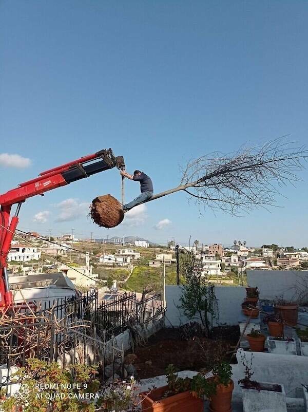 Workload & Laugh Loads Workload & Laugh Loads