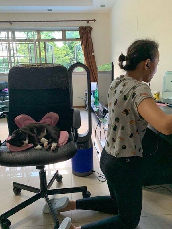 Workload & Laugh Loads Workload & Laugh Loads