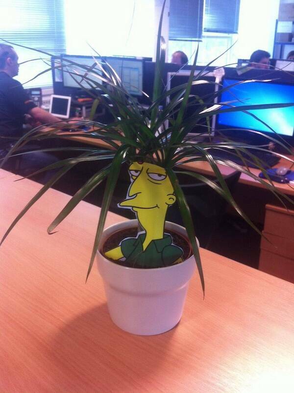 Workload & Laugh Loads