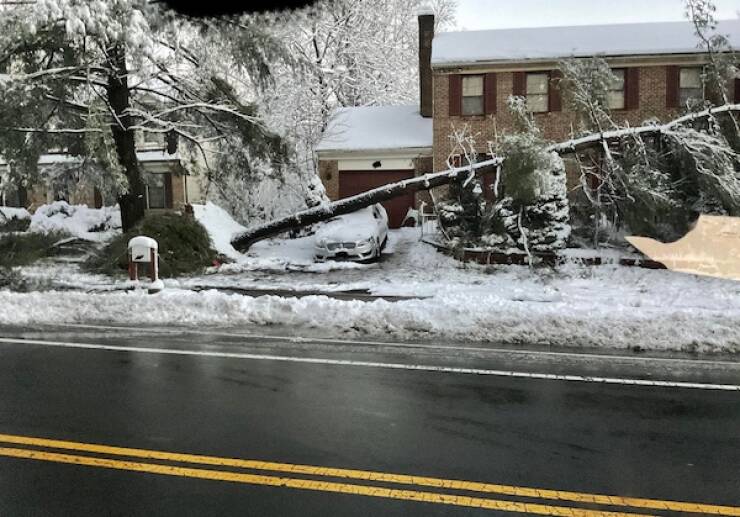 Bad Luck on Four Wheels