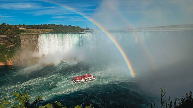 Daily Picdump Daily Picdump