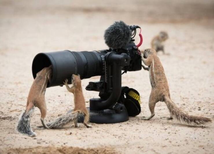 Daily Picdump Daily Picdump