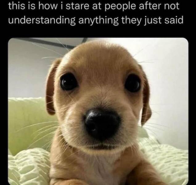 Daily Picdump Daily Picdump