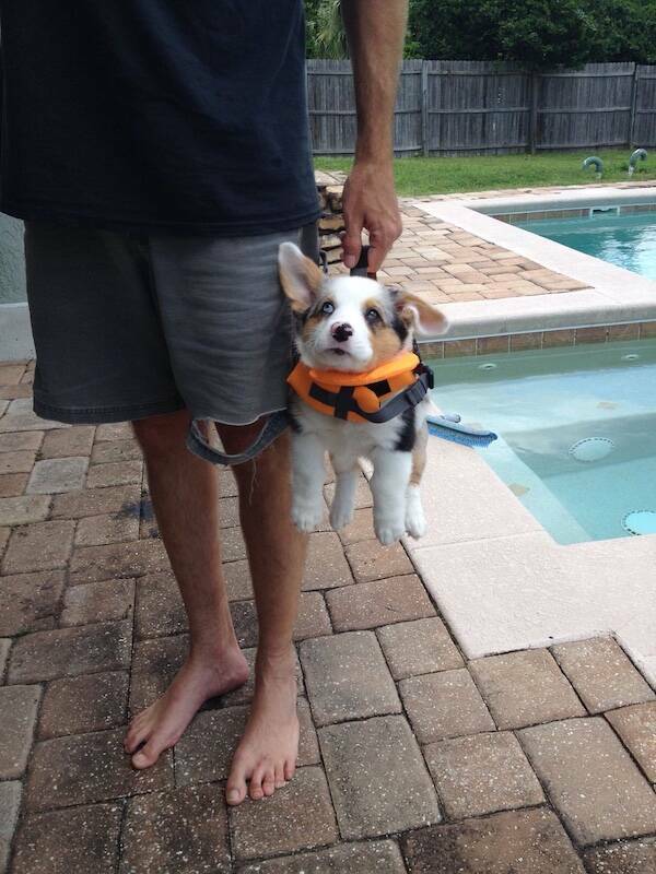 Daily Picdump Daily Picdump