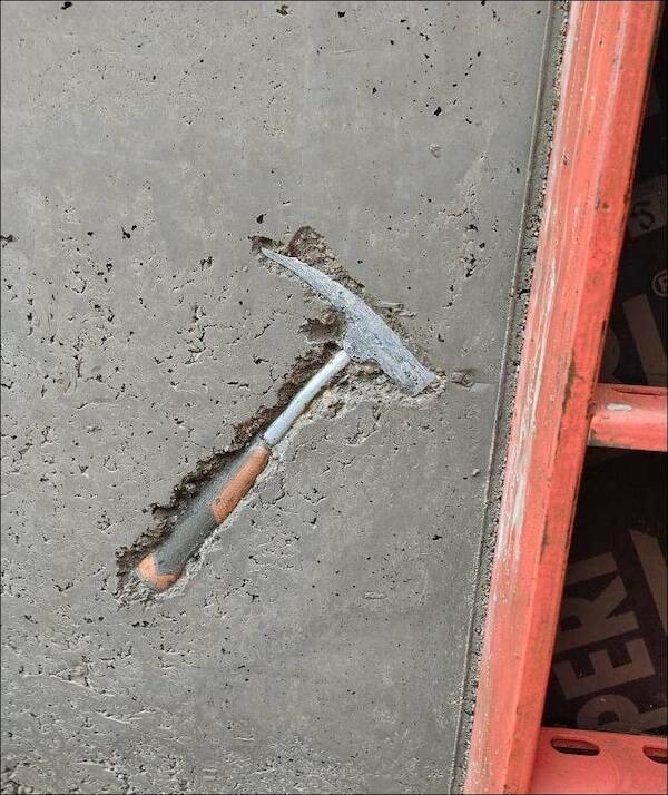 Daily Picdump Daily Picdump