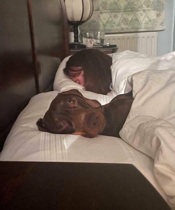 Daily Picdump Daily Picdump