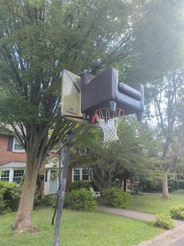 Daily Picdump Daily Picdump