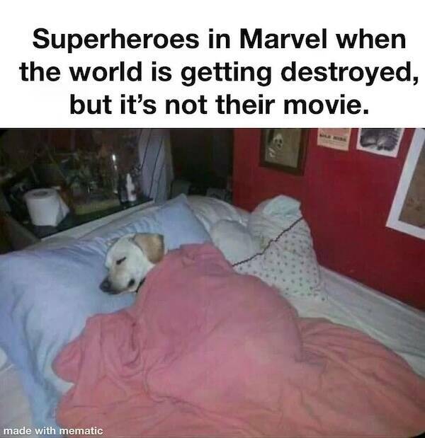 Nerdy Memes for Beautiful Weirdos