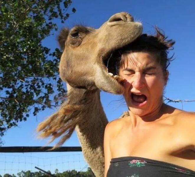 The Internet’s Strangest Snapshots