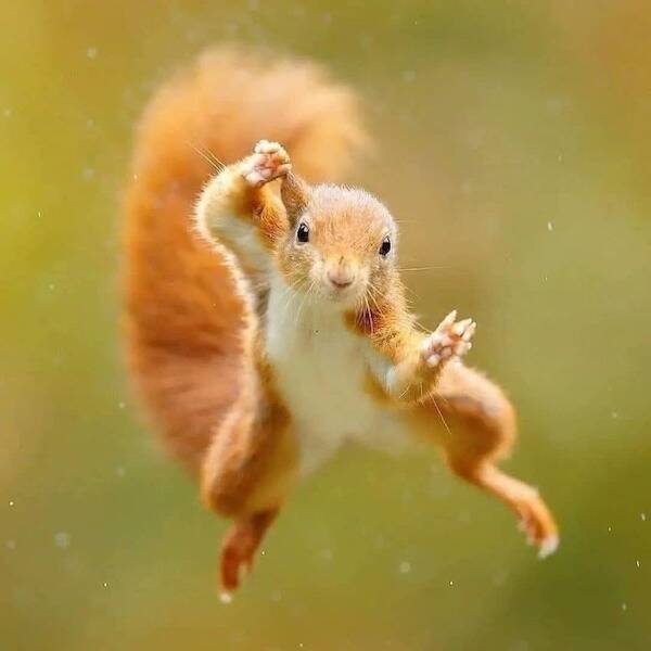 The Internet’s Strangest Snapshots