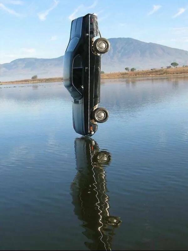 The Internet’s Strangest Snapshots